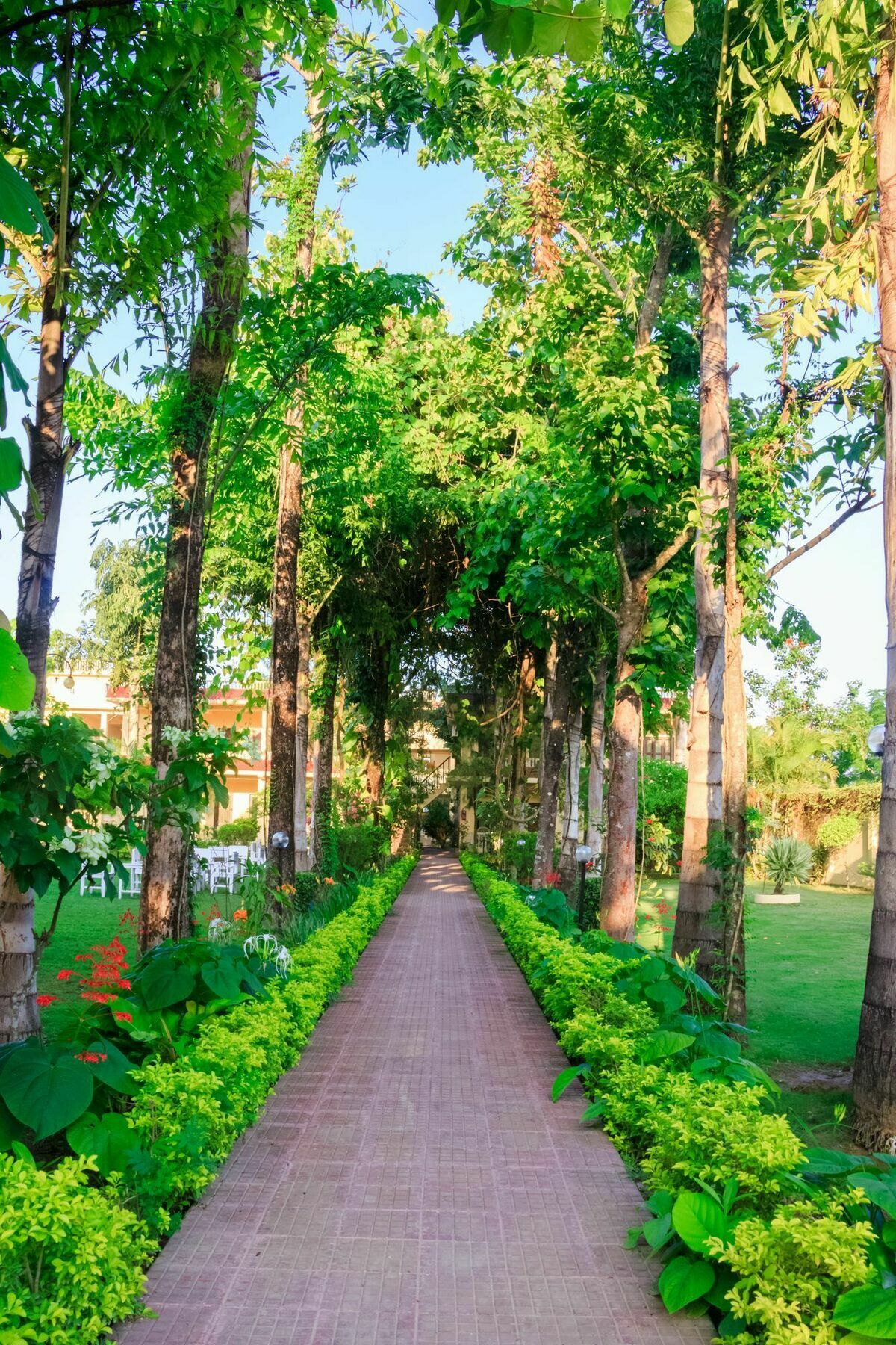 Hotel Rainforest Саураха Экстерьер фото